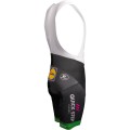Deceuninck-Quick-Step 2019 Tour de France Edition Trägerhose grün