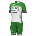 Green Project-Bardiani Csf-Faizane' 2023 Radtrikot kurzarm(langer RV)-ALE